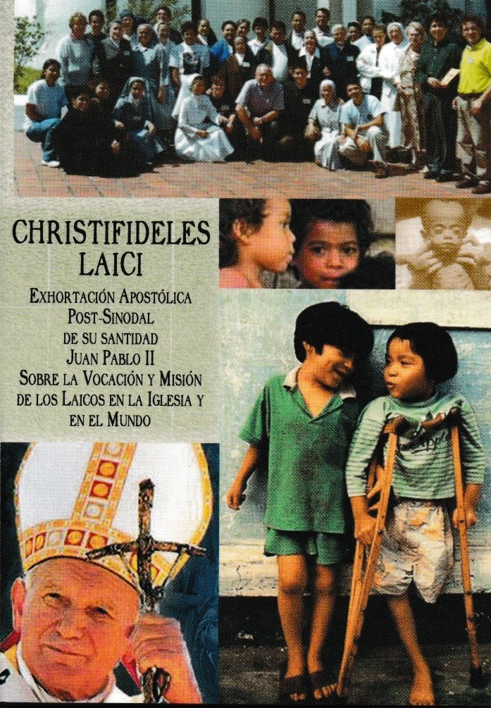 Exhortacion Apostolica ChristiIfideles Laici 